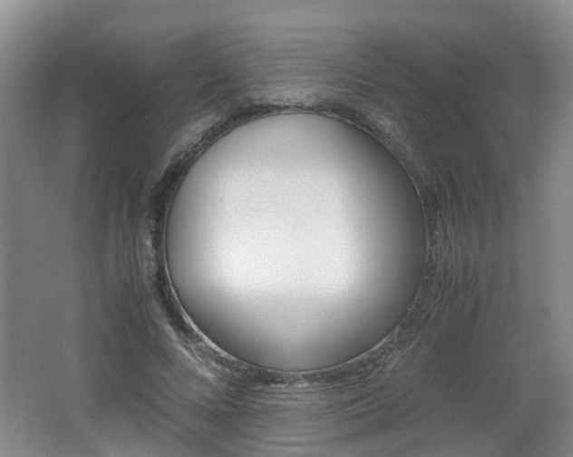 X0000062600688200512210911