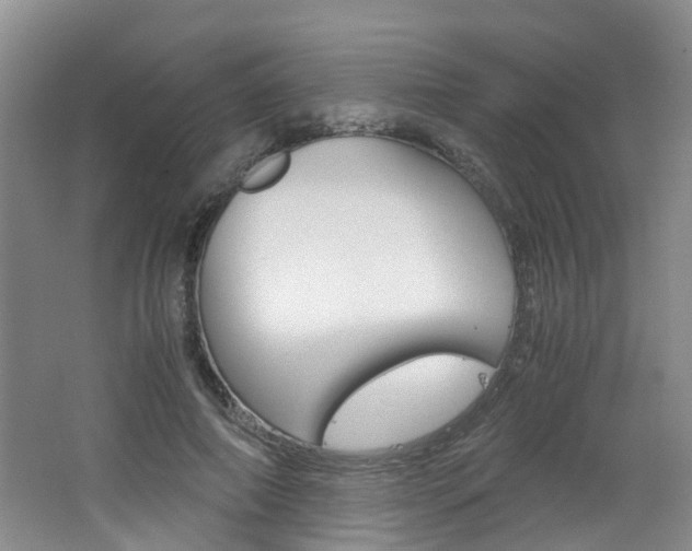 X0000062600690200512210911