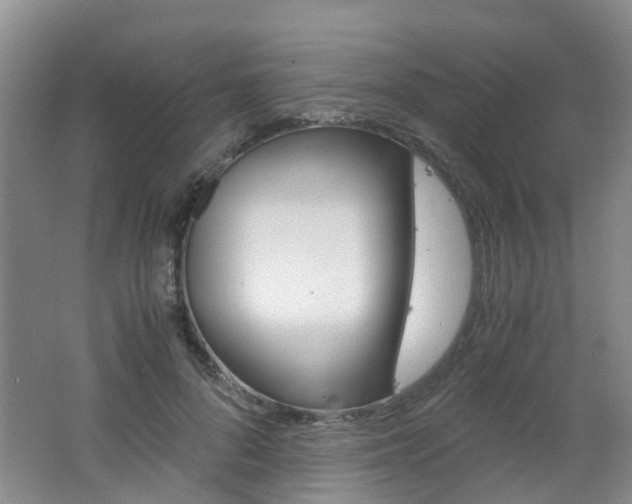 X0000062600696200512210911