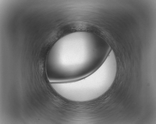 X0000062600697200512210911