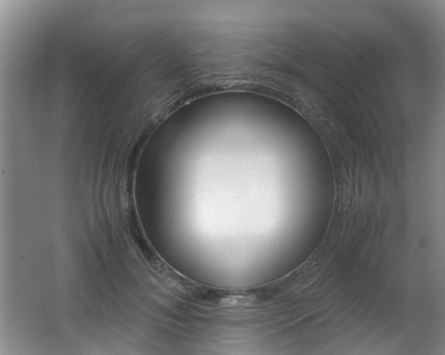 X0000062600700200512210911