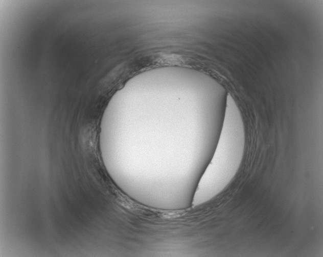 X0000062600701200512210911