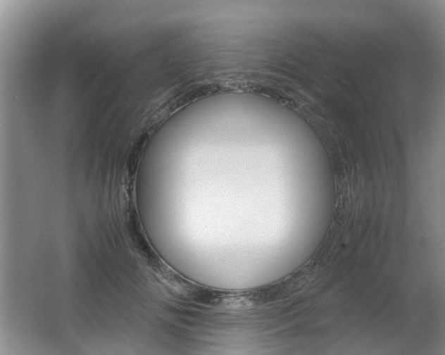 X0000062600702200512210911
