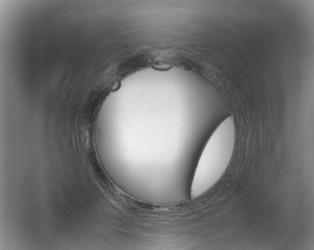 X0000062600703200512210911