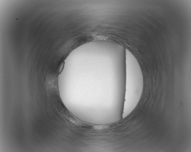 X0000062600713200512210910