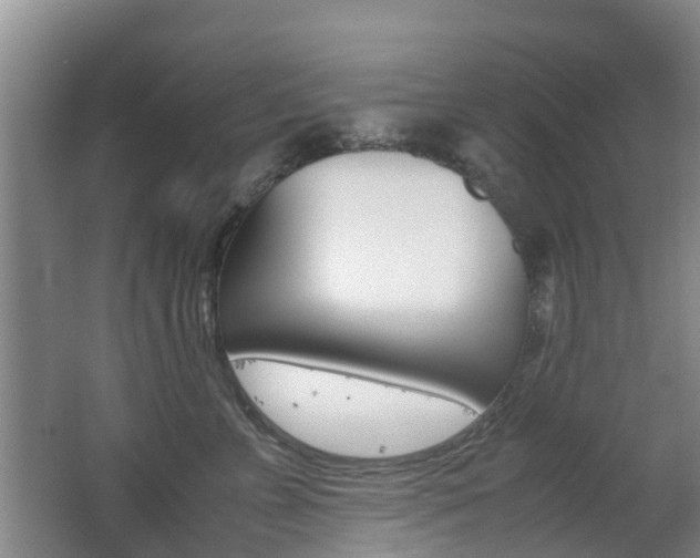 X0000062600715200512210910