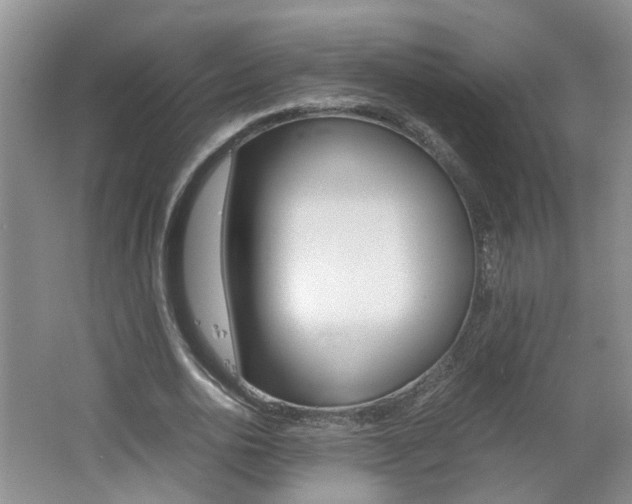 X0000062600726200512210909
