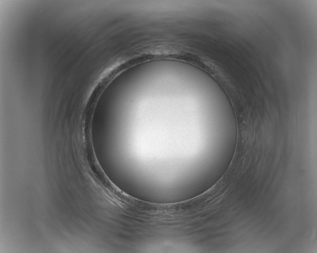 X0000062600727200512210909