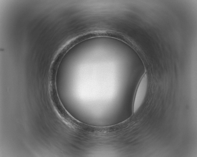 X0000062600728200512210910