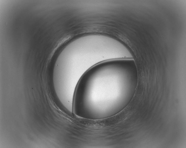 X0000062600731200512210910