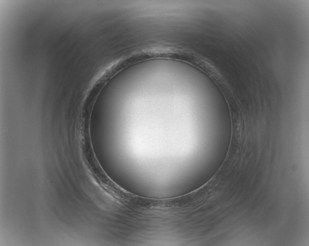 X0000062600732200512210910