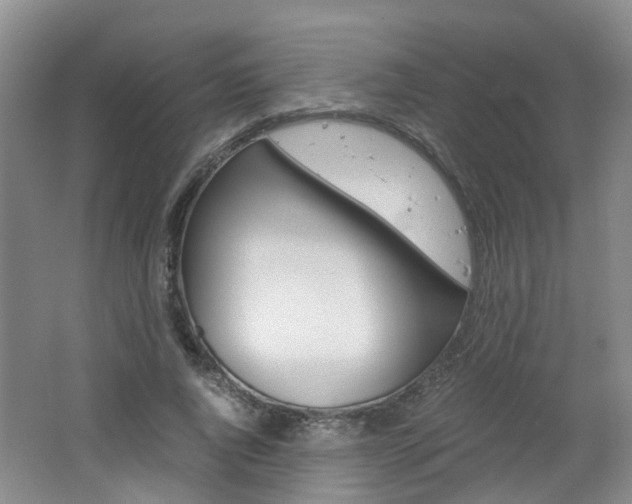 X0000062600736200512210910