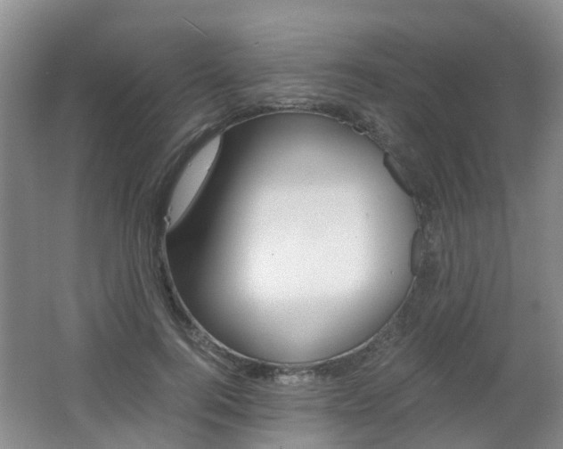 X0000062600744200512210910