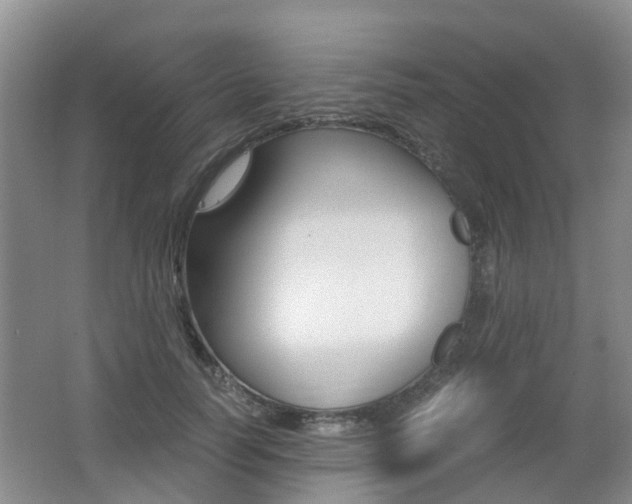 X0000062600746200512210910