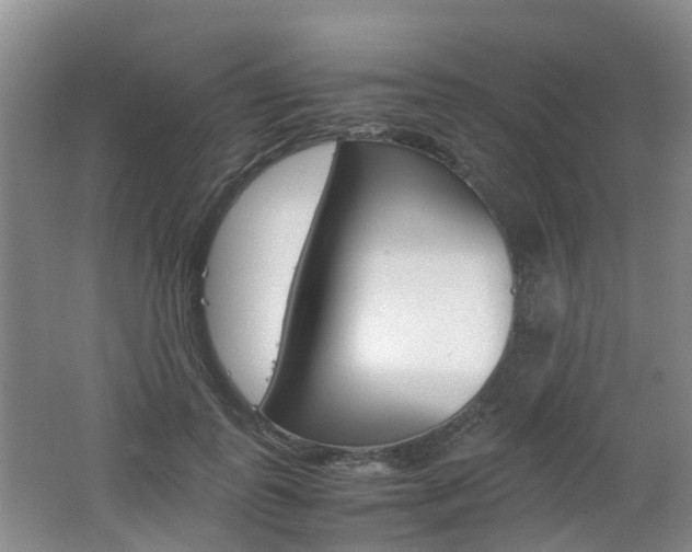 X0000062600747200512210910