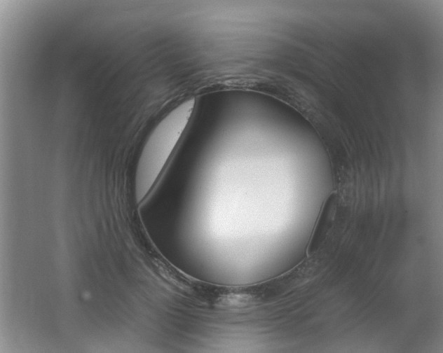 X0000062600748200512210910