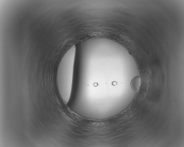 X0000062600749200512210910
