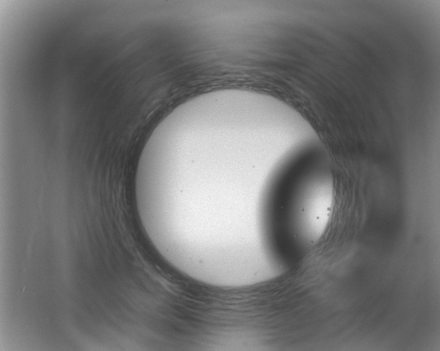 X0000062600750200512210910