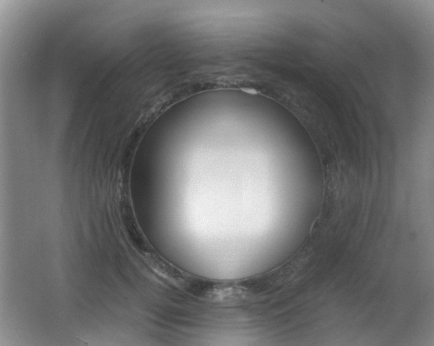 X0000062600752200512210910