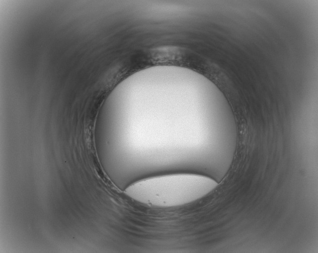 X0000062600753200512210910