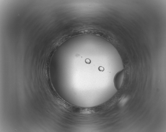 X0000062600754200512210910