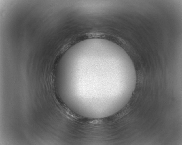 X0000062600761200512210910