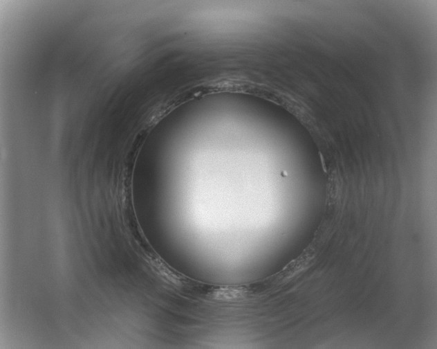 X0000062600762200512210910