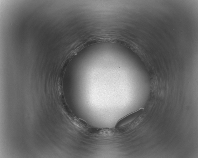 X0000062600764200512210910
