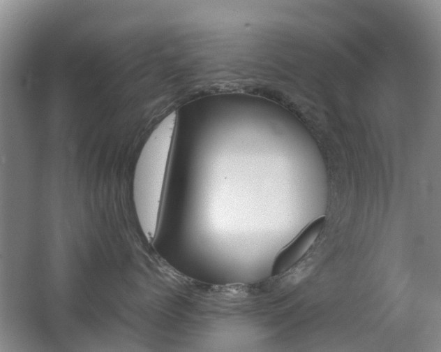 X0000062600768200512210910
