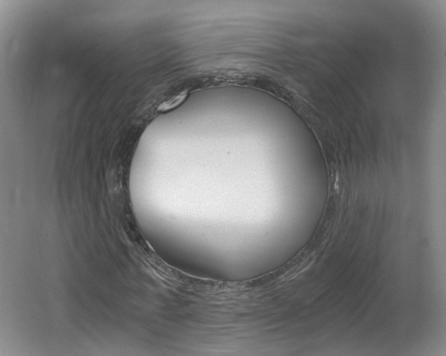 X0000062600771200512210909