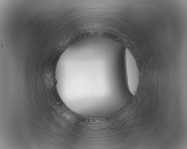 X0000062600772200512210909