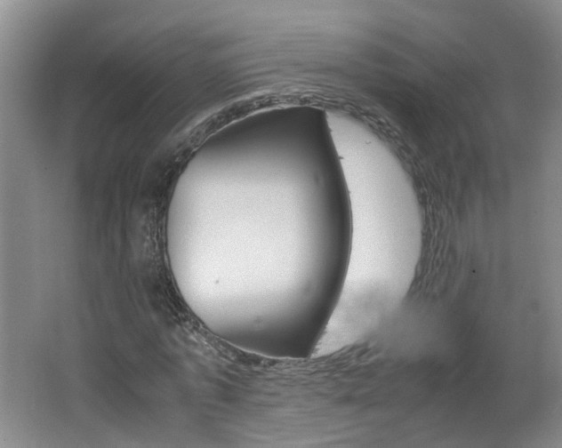 X0000062600773200512210909