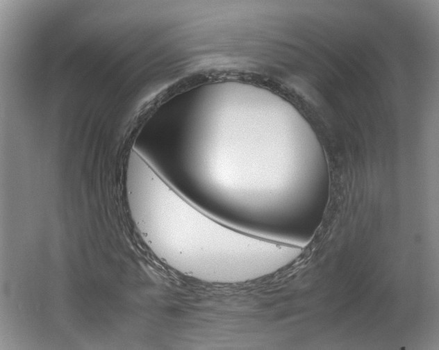 X0000062600775200512210909