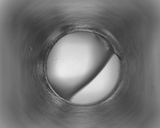 X0000062600777200512210909