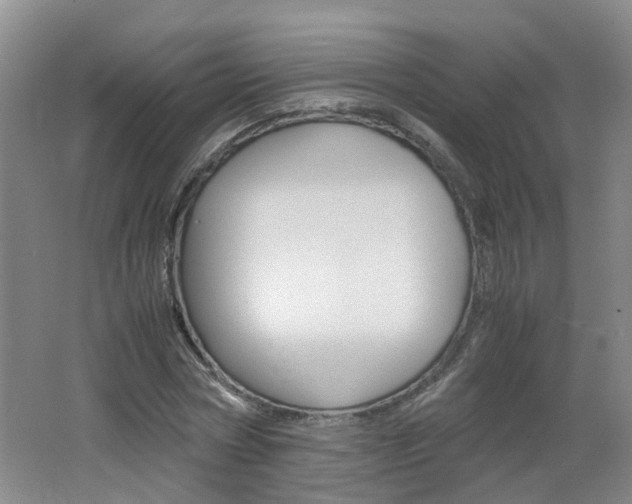 X0000062600778200512210909