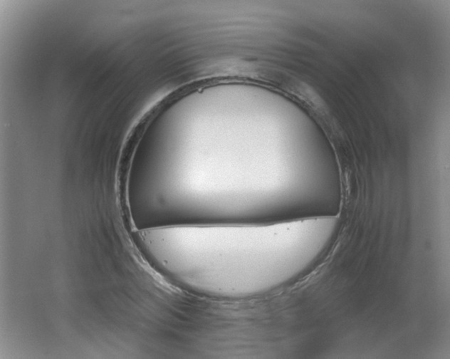 X0000062600780200512210909