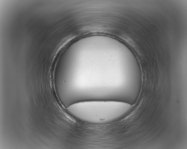 X0000062600782200512210909