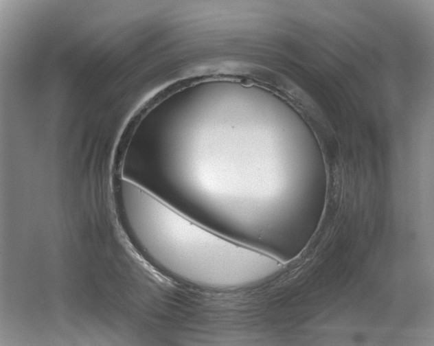 X0000062600784200512210909