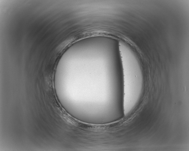 X0000062600785200512210909