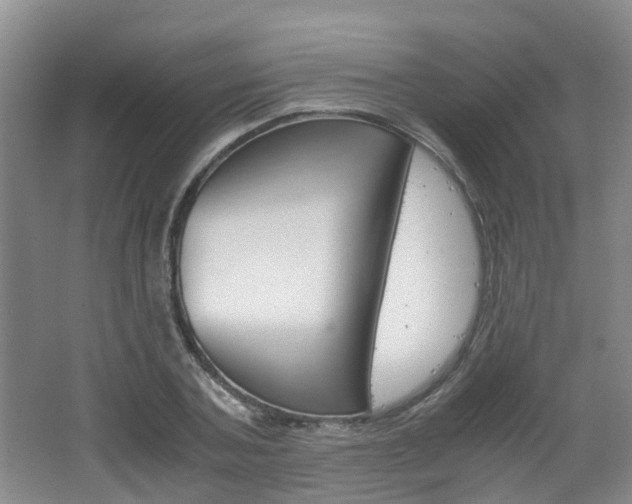 X0000062600787200512210909