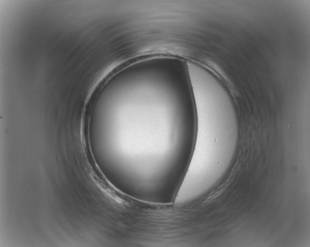 X0000062600788200512210909