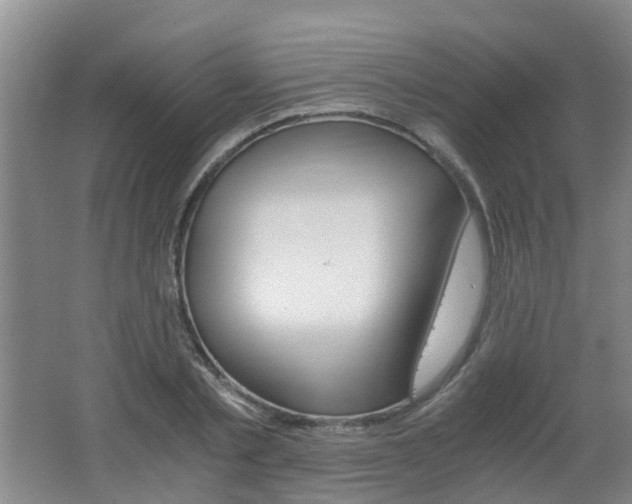 X0000062600789200512210909