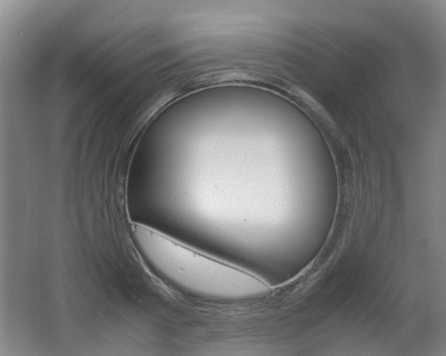 X0000062600793200512210909