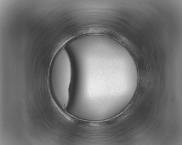 X0000062600794200512210909