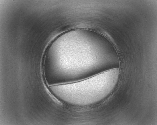 X0000062600795200512210909