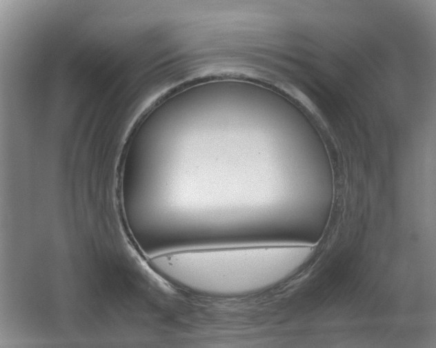 X0000062600799200512210909