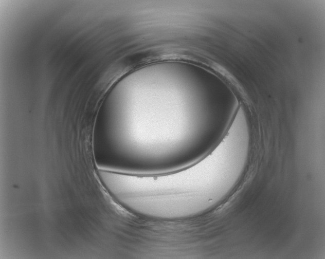 X0000062600801200512210909