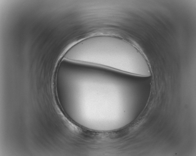 X0000062600803200512210909