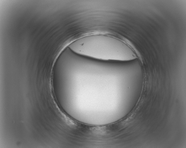 X0000062600810200512210909