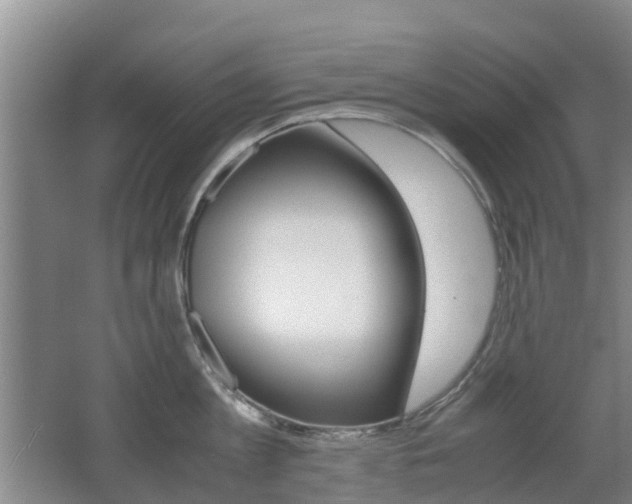 X0000062600813200512210909